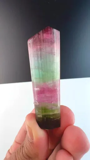 specimen video