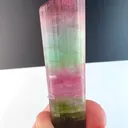 specimen video