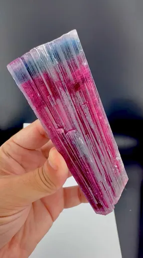 specimen video