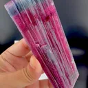 specimen video
