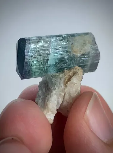 specimen video