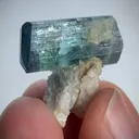 specimen video