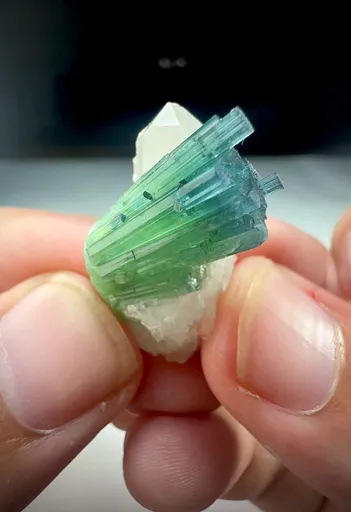 specimen video