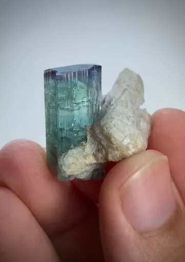 specimen video