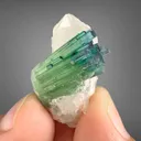 Tourmaline from Afghanistan, Nuristan, Paprok, Nouristan, Afghanistan, Paprock - image 5