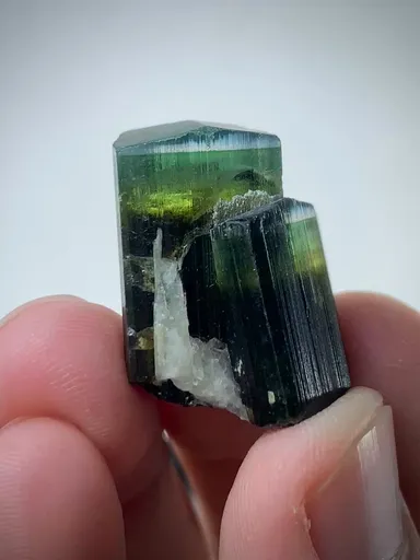 specimen video
