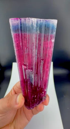 specimen video