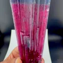 specimen video