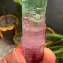 specimen video