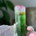 specimen video