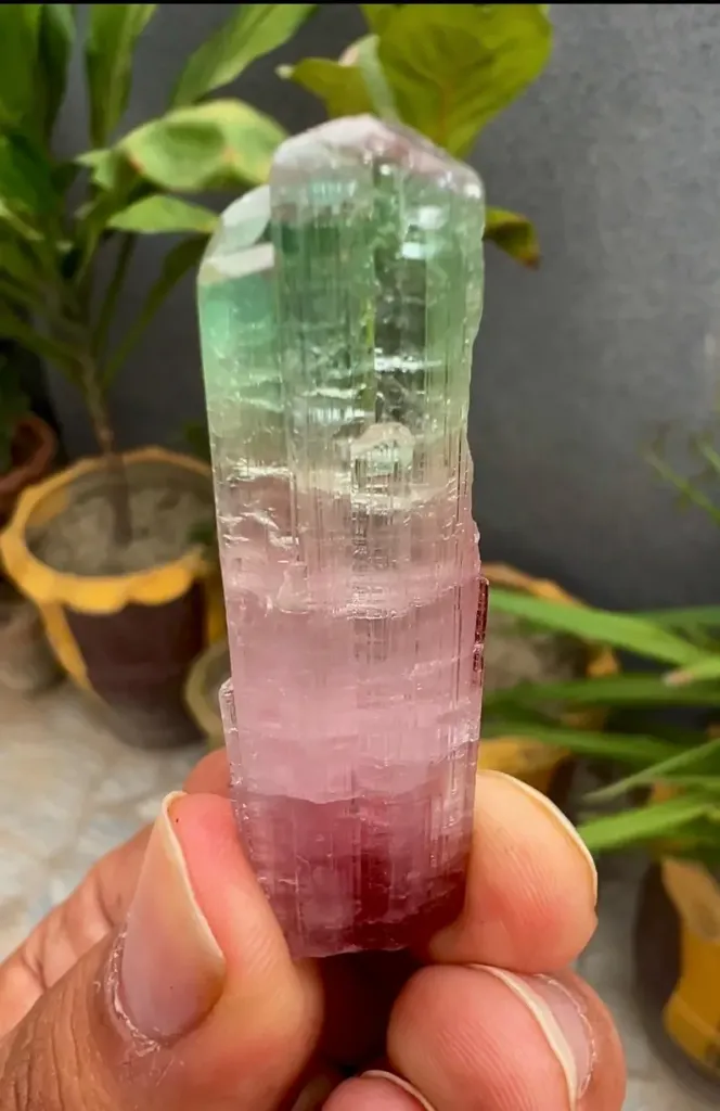 Tourmaline from Afghanistan, Paprok - image 4