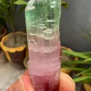 Tourmaline from Afghanistan, Paprok - image 4