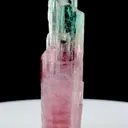 Tourmaline from Afghanistan, Paprok - image 3