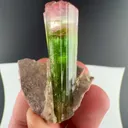 specimen video