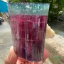specimen video