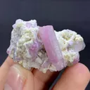 Tourmaline from Afghanistan - image 7