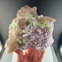 specimen video