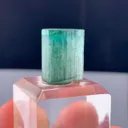 specimen video