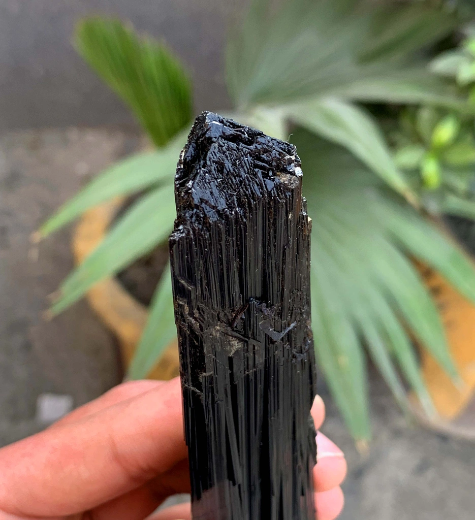 Tourmaline from Afghanistan - image 10