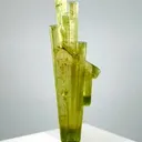 specimen video
