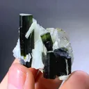 Tourmaline from Afghanistan - image 10
