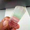 specimen video