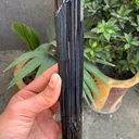Tourmaline from Afghanistan - image 4