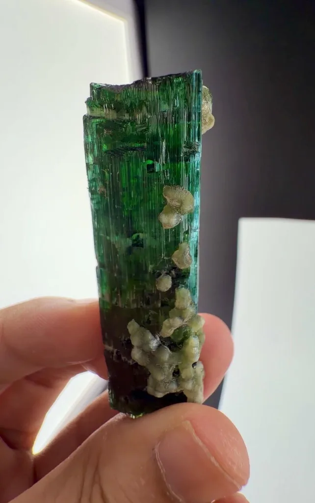 Tourmaline from Afghanistan - image 6