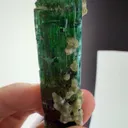 Tourmaline from Afghanistan - image 6
