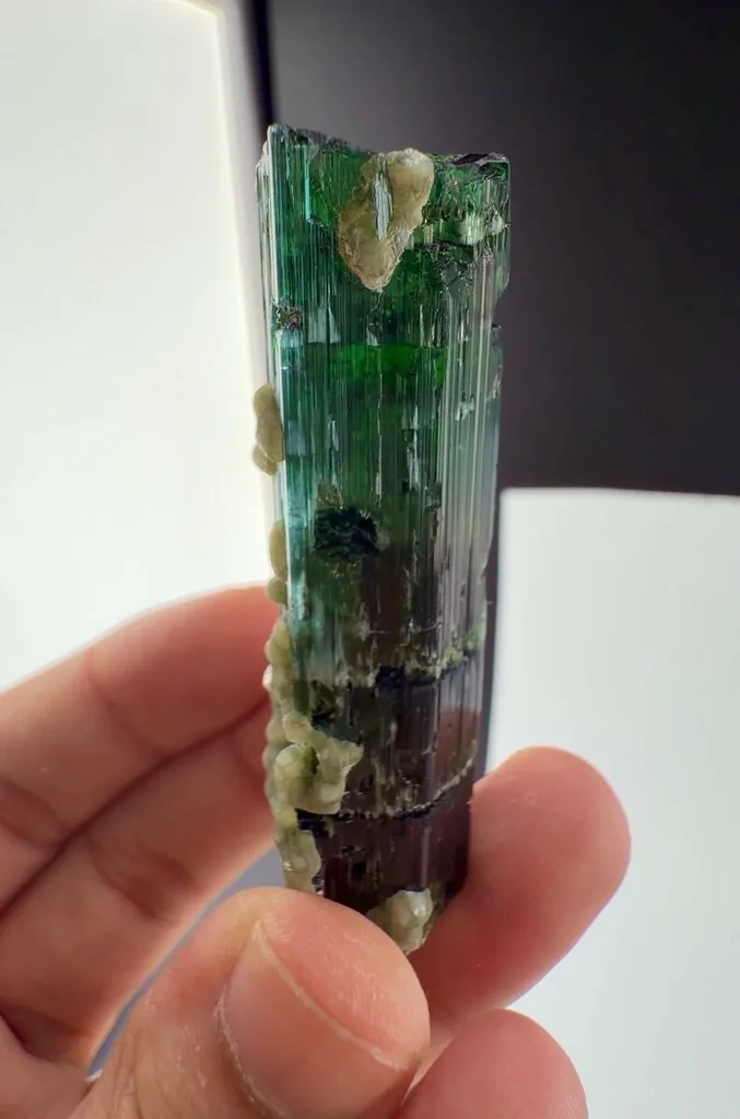 Tourmaline from Afghanistan image