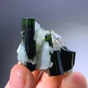 Tourmaline from Afghanistan - image 3