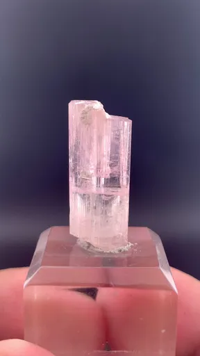 specimen video