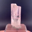 specimen video