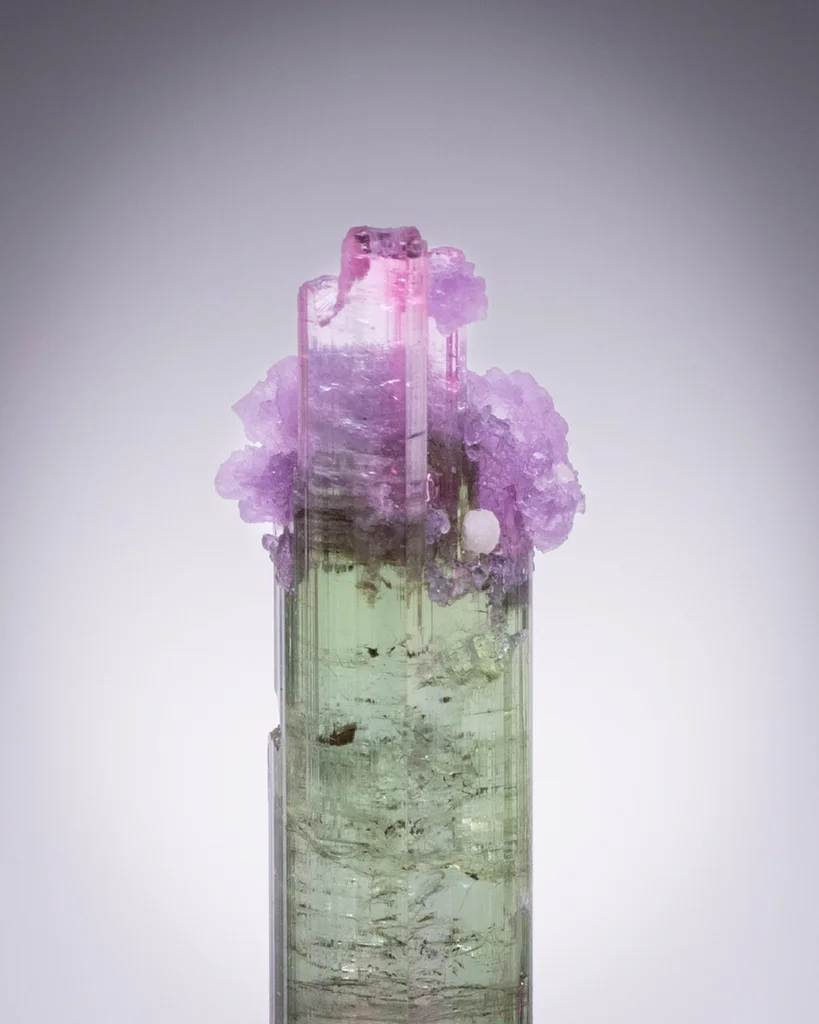 Tourmaline from Aricanga mine, São José da Safira, Minas Gerais, Brazil - image 2