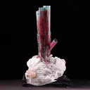 Tourmaline from Aricanga mine, São José da Safira, Minas Gerais, Brazil - image 1