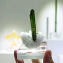specimen video