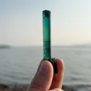 specimen video