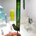 specimen video