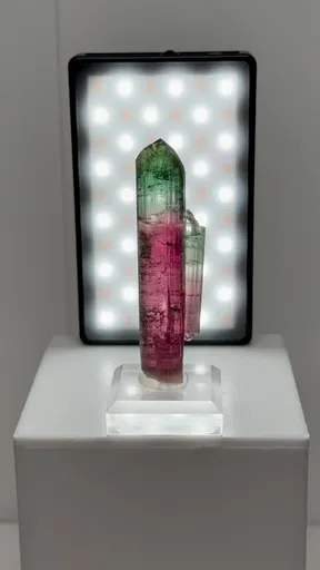 specimen video
