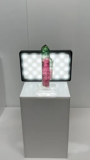 specimen video