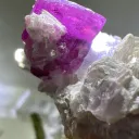 Tourmaline from Brazil, Minas Gerais, Conselheiro Pena, Jonas Mine - 10005 - image 1