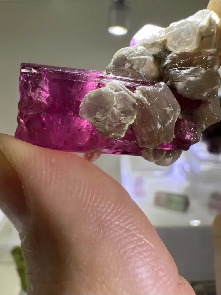 Tourmaline from Brazil, Minas Gerais, Conselheiro Pena, Jonas Mine - 10007 - image 6