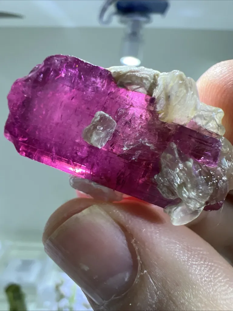 Tourmaline from Brazil, Minas Gerais, Conselheiro Pena, Jonas Mine - 10007 - image 5