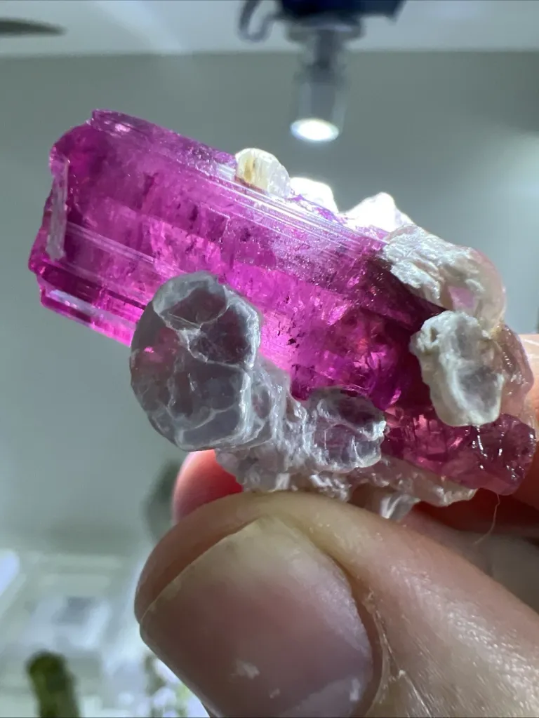Tourmaline from Brazil, Minas Gerais, Conselheiro Pena, Jonas Mine - 10007 - image 4