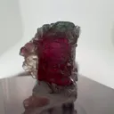 specimen video