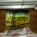 specimen video