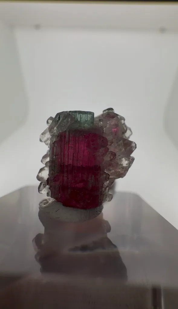 Tourmaline from Brazil, Minas Gerais, Coronel Murta image