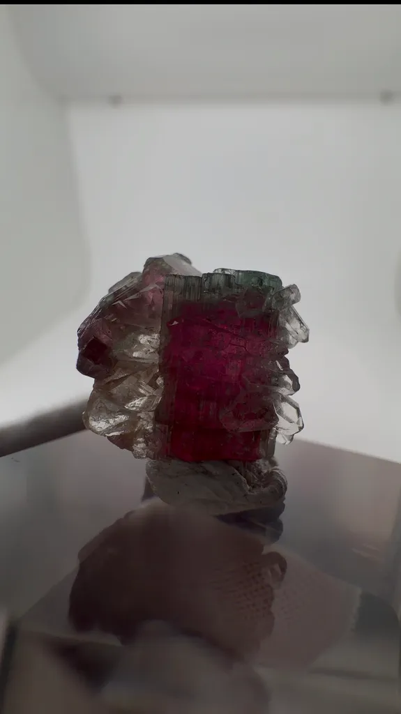 Tourmaline from Brazil, Minas Gerais, Coronel Murta - image 2
