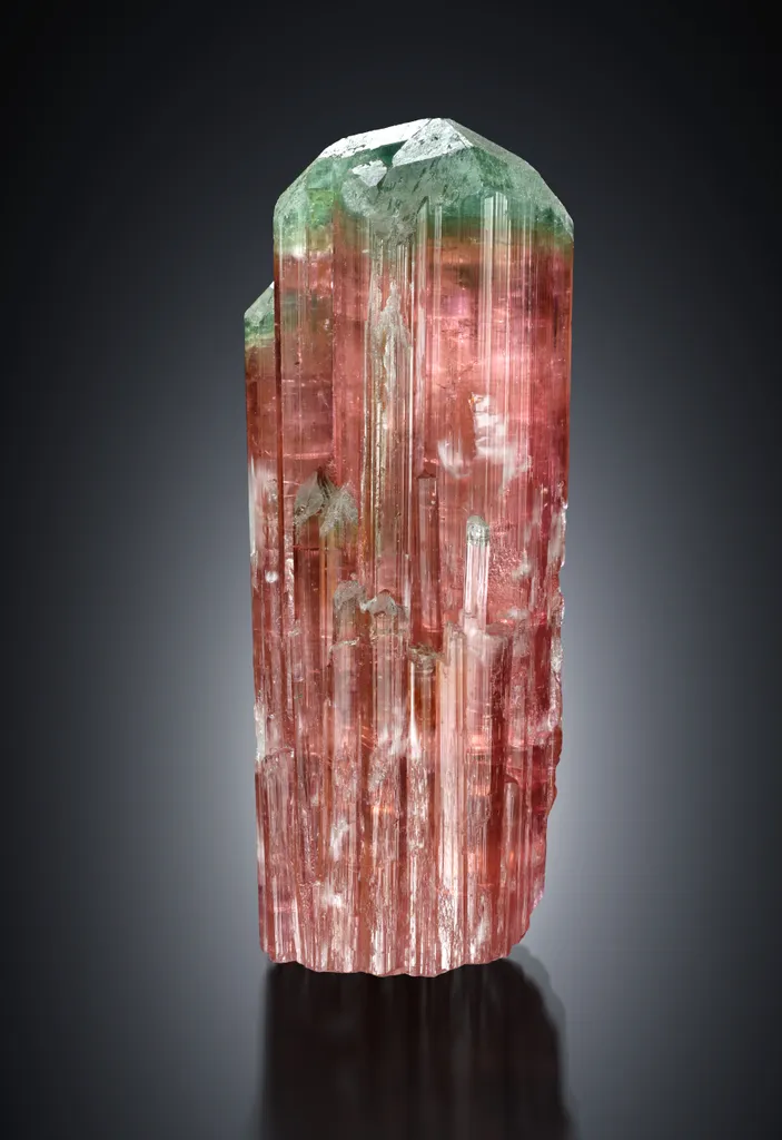 Tourmaline from Brazil, Minas Gerais, Governador Valadares, Golconda pegmatite field image