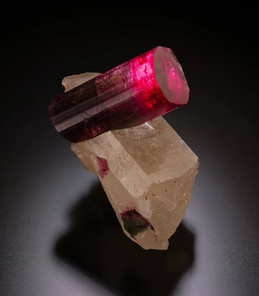 Tourmaline from Brazil, Minas Gerais, Itinga, Taquaral image